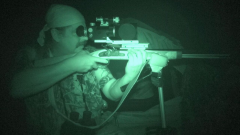 "Chief" on a nocturnal hunt